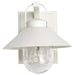 SATCO/NUVO Ridge Small Outdoor Lantern White Finish Clear Seeded Glass (60-8520)
