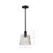 SATCO/NUVO Grayson Small Pendant Matte Black Finish Clear Ribbed Glass (60-8606)