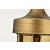 SATCO/NUVO Solara 7 Light Chandelier Natural Brass Finish Frosted Ribbed Glass (60-8671)