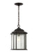 Generation Lighting Kent One Light Outdoor Pendant (60031-746)