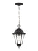 Generation Lighting Bakersville One Light Outdoor Pendant (60938-12)