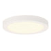 Westinghouse 5 Inch 11W LED Light Fixture Flush Mount With Color Temperature Selection White Finish White Frosted Shade (6111900)
