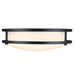 Westinghouse Lauderdale 23W 11 Inch Dimmable LED Flush Mount Black With Acrylic Shade CCT Selectable 2700K/3000K/3500K/4000K/5000K (6136100)
