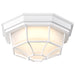 SATCO/NUVO 18.5W LED Spider Cage Outdoor Fixture 1100Lm 90 CRI 120V 3000K White Finish - Frosted Glass (62-1399)