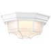 SATCO/NUVO 18.5W LED Spider Cage Outdoor Fixture 1100Lm 90 CRI 120V 3000K White Finish - Frosted Glass (62-1399)