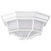 SATCO/NUVO 18.5W LED Spider Cage Outdoor Fixture 1100Lm 90 CRI 120V 3000K White Finish - Frosted Glass (62-1399)