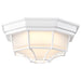 SATCO/NUVO 18.5W LED Spider Cage Outdoor Fixture 1100Lm 90 CRI 120V 3000K White Finish - Frosted Glass (62-1399)