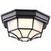 SATCO/NUVO 18.5W LED Spider Cage Outdoor Fixture 1100Lm 90 CRI 120V 3000K Black Finish - Frosted Glass (62-1400)