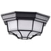SATCO/NUVO 18.5W LED Spider Cage Outdoor Fixture 1100Lm 90 CRI 120V 3000K Black Finish - Frosted Glass (62-1400)