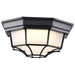 SATCO/NUVO 18.5W LED Spider Cage Outdoor Fixture 1100Lm 90 CRI 120V 3000K Black Finish - Frosted Glass (62-1400)