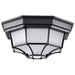 SATCO/NUVO 18.5W LED Spider Cage Outdoor Fixture 1100Lm 90 CRI 120V 3000K Black Finish - Frosted Glass (62-1400)