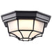 SATCO/NUVO 18.5W LED Spider Cage Outdoor Fixture 1100Lm 90 CRI 120V 3000K Black Finish - Frosted Glass (62-1400)