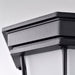 SATCO/NUVO 18.5W LED Spider Cage Outdoor Fixture 1100Lm 90 CRI 120V 3000K Black Finish - Frosted Glass (62-1400)