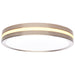 SATCO/NUVO 11 Inch Surface Mount With Night Light CCT Selectable 2700K/3000K/3500K/4000K/5000K Brushed Nickel Finish (62-1690)