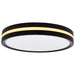 SATCO/NUVO 11 Inch Surface Mount With Night Light CCT Selectable 2700K/3000K/3500K/4000K/5000K Matte Black Finish (62-1691)