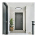 SATCO/NUVO Glamour LED 32 Inch Oval Flush Mount CCT Selectable 2700K/3000K/3500K/4000K/5000K Black Finish (62-1981)