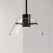 SATCO/NUVO Edmond 14 Inch LED Pendant Matte Black With Clear Glass (62-2061)