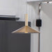 SATCO/NUVO Corrine 10 Inch LED Pendant Burnished Brass CCT Selectable 3000K/4000K/5000K (62-2091)