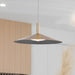 SATCO/NUVO Corrine 18 Inch LED Pendant Burnished Brass CCT Selectable 3000K/4000K/5000K (62-2093)