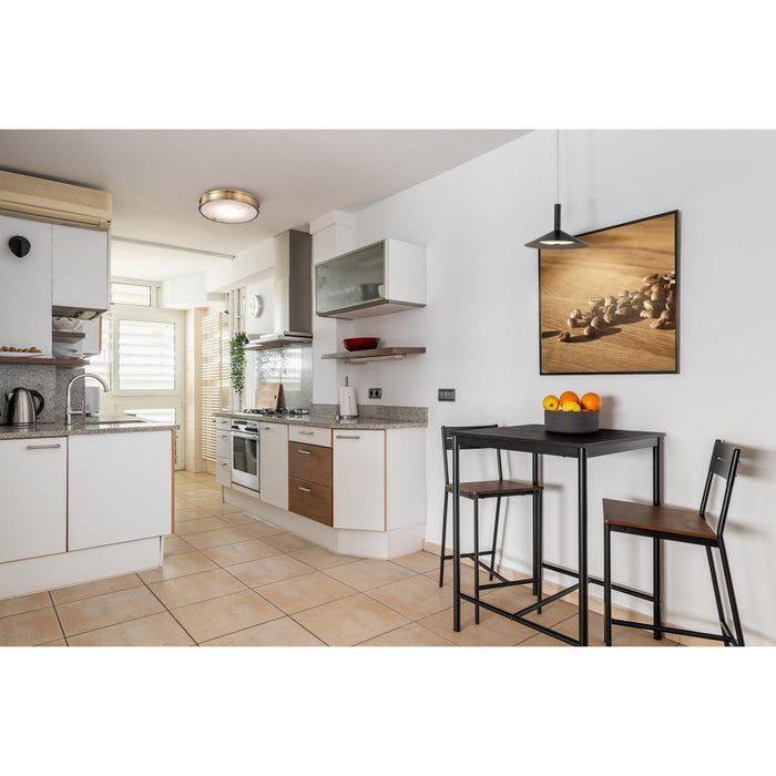 SATCO/NUVO Kendall 14 Inch LED Flush Mount Burnished Brass With Alabaster Glass (62-2121)