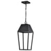 SATCO/NUVO Colt 10W LED Hanging Pendant 3000K 90 CRI 120V Matte Black Finish (62-2314)