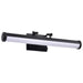 SATCO/NUVO Cora 24 Inch LED Vanity 20W 1600Lm CCT Selectable 3000K/4000K/5000K 90 CRI 120V Black Finish Acrylic Lens (62-2370)
