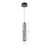 SATCO/NUVO Evander LED 16 Inch Mini Pendant Matte Black Finish Smoked Glass (62-2451)