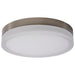 SATCO/NUVO PI 14 Inch LED Flush Mount Brushed Nickel Finish Frosted Etched Glass CCT Selectable 120V (62-560)