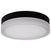 SATCO/NUVO PI 11 Inch LED Flush Mount Black Finish Frosted Etched Glass CCT Selectable 120V (62-569)