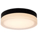SATCO/NUVO PI 11 Inch LED Flush Mount Black Finish Frosted Etched Glass CCT Selectable 120V (62-569)