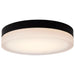 SATCO/NUVO PI 14 Inch LED Flush Mount Black Finish Frosted Etched Glass CCT Selectable 120V (62-570)