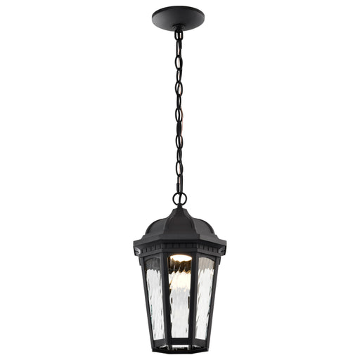 SATCO/NUVO East River Collection 1-Light Outdoor Hanging Fixture LED Smart - Starfish RGBTW CCT Selectable Matte Black Clear Water Glass (62-5944)