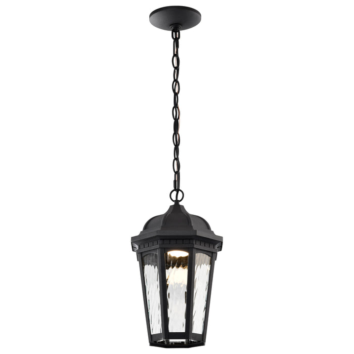 SATCO/NUVO East River Collection 1-Light Outdoor Hanging Fixture LED Smart - Starfish RGBTW CCT Selectable Matte Black Clear Water Glass (62-5944)