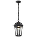 SATCO/NUVO East River Collection 1-Light Outdoor Hanging Fixture LED Smart - Starfish RGBTW CCT Selectable Matte Black Clear Water Glass (62-5944)