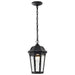 SATCO/NUVO East River Collection 1-Light Outdoor Hanging Fixture LED Smart - Starfish RGBTW CCT Selectable Matte Black Clear Water Glass (62-5944)