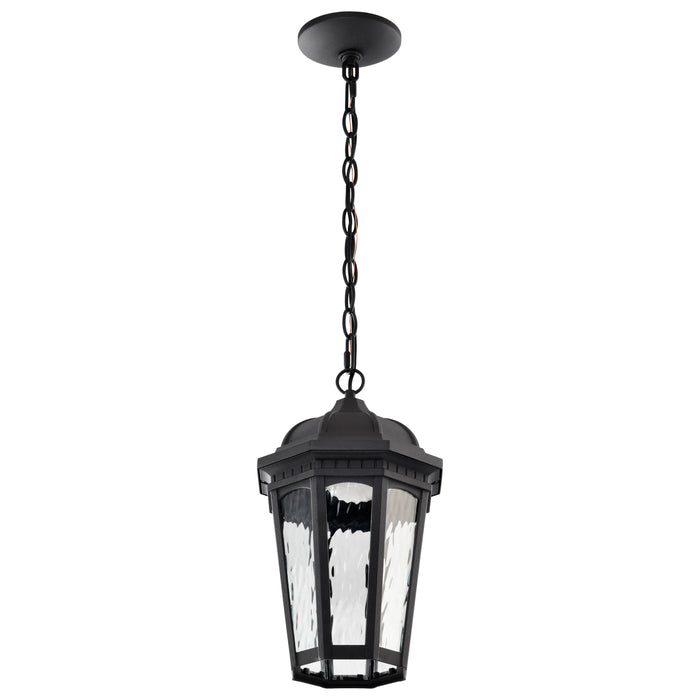 SATCO/NUVO East River Collection 1-Light Outdoor Hanging Fixture LED Smart - Starfish RGBTW CCT Selectable Matte Black Clear Water Glass (62-5944)