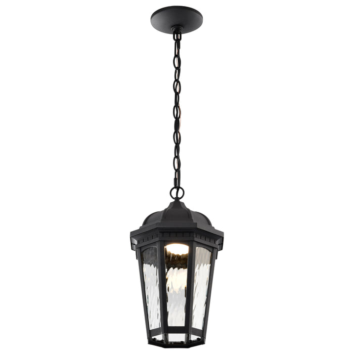 SATCO/NUVO East River Collection 1-Light Outdoor Hanging Fixture LED Smart - Starfish RGBTW CCT Selectable Matte Black Clear Water Glass (62-5944)