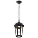 SATCO/NUVO East River Collection 1-Light Outdoor Hanging Fixture LED Smart - Starfish RGBTW CCT Selectable Matte Black Clear Water Glass (62-5944)