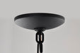 SATCO/NUVO East River Collection 1-Light Outdoor Hanging Fixture LED Smart - Starfish RGBTW CCT Selectable Matte Black Clear Water Glass (62-5944)