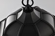 SATCO/NUVO East River Collection 1-Light Outdoor Hanging Fixture LED Smart - Starfish RGBTW CCT Selectable Matte Black Clear Water Glass (62-5944)