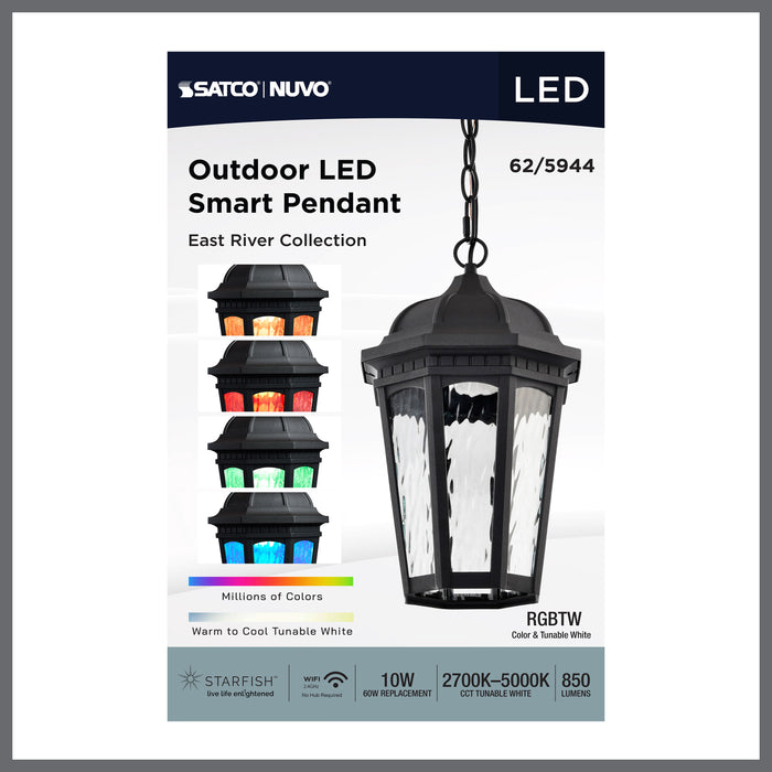 SATCO/NUVO East River Collection 1-Light Outdoor Hanging Fixture LED Smart - Starfish RGBTW CCT Selectable Matte Black Clear Water Glass (62-5944)