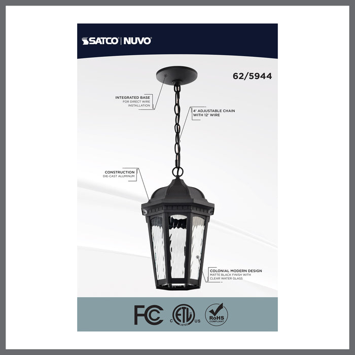 SATCO/NUVO East River Collection 1-Light Outdoor Hanging Fixture LED Smart - Starfish RGBTW CCT Selectable Matte Black Clear Water Glass (62-5944)