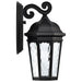 SATCO/NUVO East River Collection 1-Light Outdoor Small Wall Fixture LED Smart - Starfish RGBTW CCT Selectable Matte Black Clear Water Glass (62-5945)