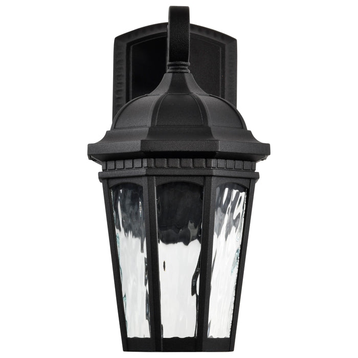 SATCO/NUVO East River Collection 1-Light Outdoor Small Wall Fixture LED Smart - Starfish RGBTW CCT Selectable Matte Black Clear Water Glass (62-5945)