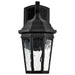 SATCO/NUVO East River Collection 1-Light Outdoor Small Wall Fixture LED Smart - Starfish RGBTW CCT Selectable Matte Black Clear Water Glass (62-5945)