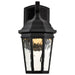 SATCO/NUVO East River Collection 1-Light Outdoor Small Wall Fixture LED Smart - Starfish RGBTW CCT Selectable Matte Black Clear Water Glass (62-5945)