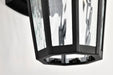 SATCO/NUVO East River Collection 1-Light Outdoor Small Wall Fixture LED Smart - Starfish RGBTW CCT Selectable Matte Black Clear Water Glass (62-5945)