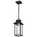 SATCO/NUVO Austen Collection 1-Light Outdoor Hanging Fixture LED Smart - Starfish RGBTW CCT Selectable Matte Black Clear Water Glass (62-5996)