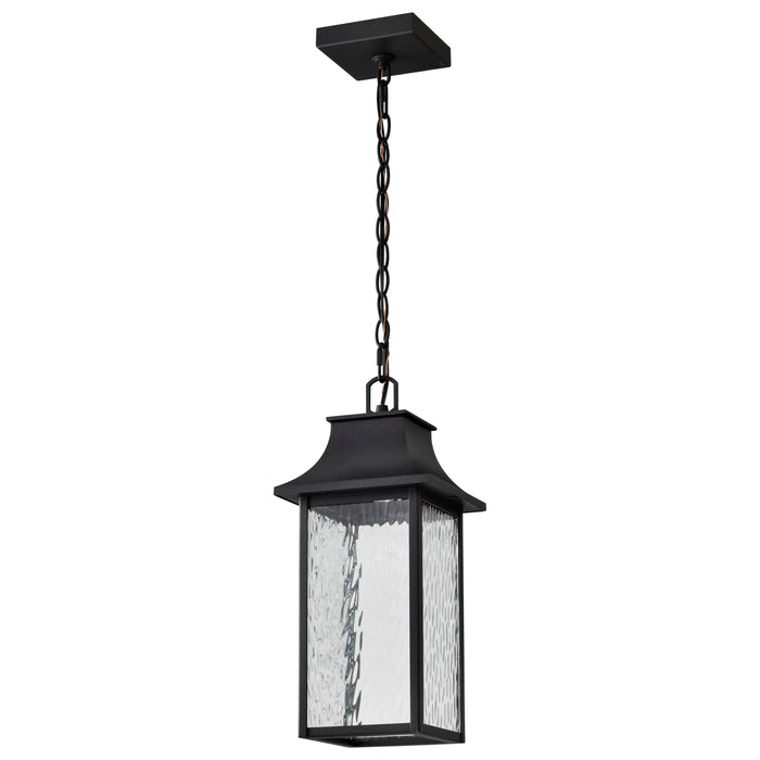 SATCO/NUVO Austen Collection 1-Light Outdoor Hanging Fixture LED Smart - Starfish RGBTW CCT Selectable Matte Black Clear Water Glass (62-5996)