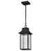SATCO/NUVO Austen Collection 1-Light Outdoor Hanging Fixture LED Smart - Starfish RGBTW CCT Selectable Matte Black Clear Water Glass (62-5996)